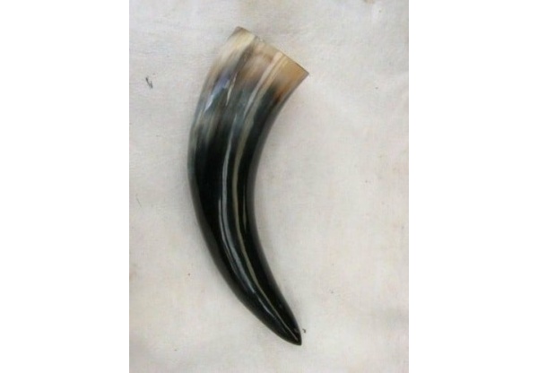 Drinking horn, extra large, ca. 0.5 liter-0