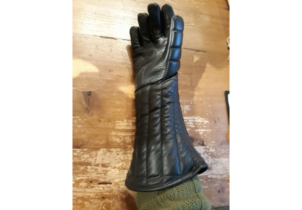 rapier gloves-0