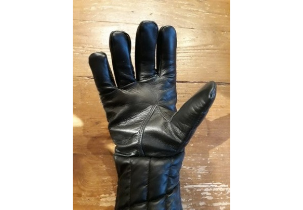 rapier gloves-1493