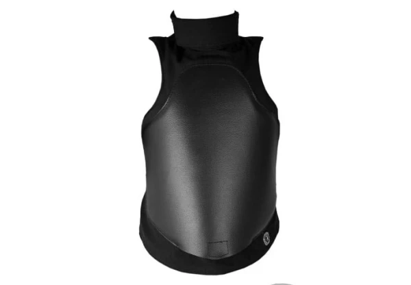 HEMA Plastron NG 800N (send request)
