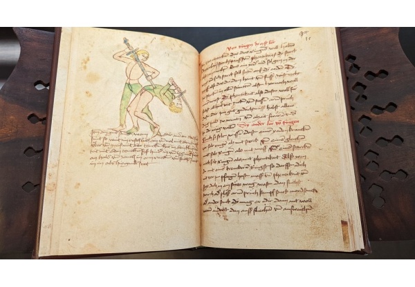 Bauman’s Fight Book, reproduction edition - Image 6