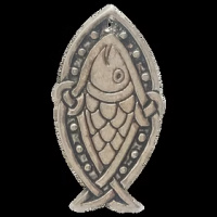 Fintan's Salmon oorbellen (LE16) Voor transformatie en wonderen