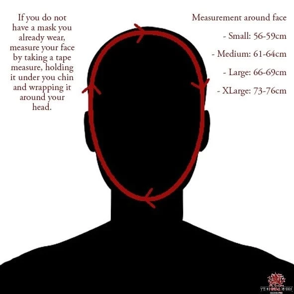 Red Dragon HEMA Tournament Fencing Mask - 1600N - Image 4